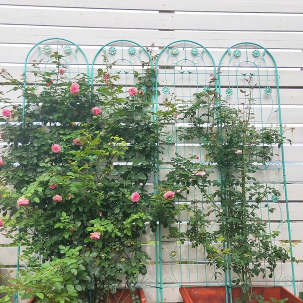 4 Pack Metal Garden Trellis 86.7" X 19.7" Rustproof Trellis For Climbing Plants Outdoor Flower Support Light Green_maomaolike.com