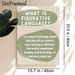 Figurative Language Educational Painting Poster, Soft Sage Green Minimalist Graphic Poster, Informative Language Learning Reference, Suitable For_maomaolike.com