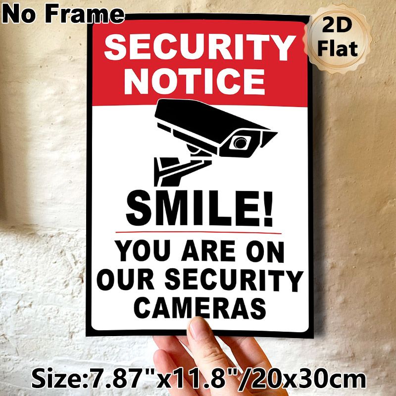 Security Notice Painting Poster, Bold Black-and-White Security Camera Graphic Poster, Clear Monitoring Warning Reminder, Suitable For Shops, Offices_maomaolike.com