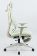 Ergonomic Office Chair With Footrest, High Back Computer Office Chair With Dynamic Lumbar Support, 2D Headrest, 2D Armrest, Sponge Seat, Mesh Home Office Desk Chair For Adults, GREEN_maomaolike.com