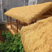 Simulated Thatched Roof, Thatched Eaves, Artificial Fake Straw Lawn, Sunshade Grass Shed Roof, Grass Curtain_maomaolike.com
