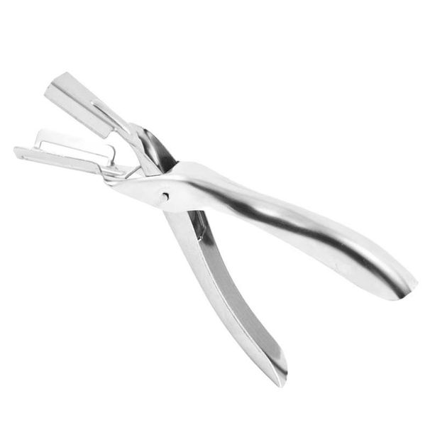 Lobster Shelling Tool For Household & Commercial_maomaolike.com
