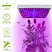 LED Grow Light Full Spectrum Hanging 225 LEDs Plant Grow Lamp Indoor Grow Light For Greenhouse Succulents Seedlings Plants Veg And Flower(15W LEDs)_maomaolike.com
