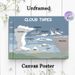 Cloud Types Painting Poster, Informative Illustrated Cloud Classification Chart Poster, Educational Reference For Learning Cloud Varieties, Ideal For_maomaolike.com