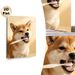 Shiba Inu Brushing Teeth Painting Poster, Warm-toned Cute Playful Pet Scene Poster, Lovely Pet-themed Decor Ideal For Living Room, Bedroom And Pet_maomaolike.com