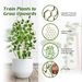 Yegbong Garden Plant Trellis, Home Wooden Geometric Molding Decorative Support Flower Arrangements Climbing Pergola_maomaolike.com