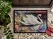 Swan Doormat Front Door Mat Indoor Outdoor Rugs For Entryway, Non Slip Washable Low Pile, 24H X 36W_maomaolike.com