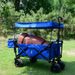 Collapsible Wagon Heavy Duty Folding Wagon Cart With Removable Canopy, 4" Wide Large All Terrain Wheels, Brake, Adjustable Handles,Cooler Bag Utility Carts For Outdoor Garden Beach_maomaolike.com