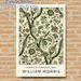 Vintage Botanical Floral Painting Poster, Muted Green Ornate Retro Plant Pattern Poster, Timeless Classic Art Piece, Ideal For Living Room, Bedroom_maomaolike.com