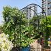 Metal Garden Arch L42.24'' X W17.52'' X H85.82'' Climbing Plants Support Rose Arch Outdoor Black_maomaolike.com