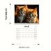 2025 Funny Cat Kitten Calendar, Funny Cat Kitten Selfies Calendar, Square Hanging Wall Calendar_maomaolike.com