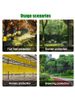1 Roll Of Yellow Double-sided Proof Tape To Prevent Insects, Ants, And Moths From Climbing. Outdoor Garden Insect Trap_maomaolike.com