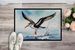 Black Skimmer Doormat Front Door Mat Indoor Outdoor Rugs For Entryway, Non Slip Washable Low Pile, 24H X 36W_maomaolike.com