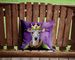 Italian Greyhound King Of Mardi Gras Throw Pillow Machine Washable, Indoor Outdoor Decorative Pillow For Couch, Bed Or Patio, 14Hx14W_maomaolike.com