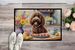 Decorating Easter Labradoodle Doormat Front Door Mat Indoor Outdoor Rugs For Entryway, Non Slip Washable Low Pile, 24H X 36W_maomaolike.com