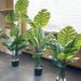 Artificial Green High-End Sense One-Piece Stem Monstera Living Room Hotel Soft Decoration Fake Flower Floor Large Potted_maomaolike.com