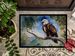 Eagle Doormat Front Door Mat Indoor Outdoor Rugs For Entryway, Non Slip Washable Low Pile, 24H X 36W_maomaolike.com