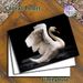 White Swan Painting Poster, Elegant Realistic White Swan Spreading Wings On Dark Water Poster, Eye-catching Contrast Design Ideal For Living Room_maomaolike.com