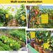 20-400Pcs Stickers Double Sided Flying Insect Catcher Fly Trap Insects Glue Sticky Board For Greenhouse Home Garden_maomaolike.com