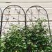 2 Pack Metal Garden Trellis 86.7" X 19.7" Rustproof Trellis For Climbing Plants Outdoor Flower Support Butterfly Deco Black_maomaolike.com