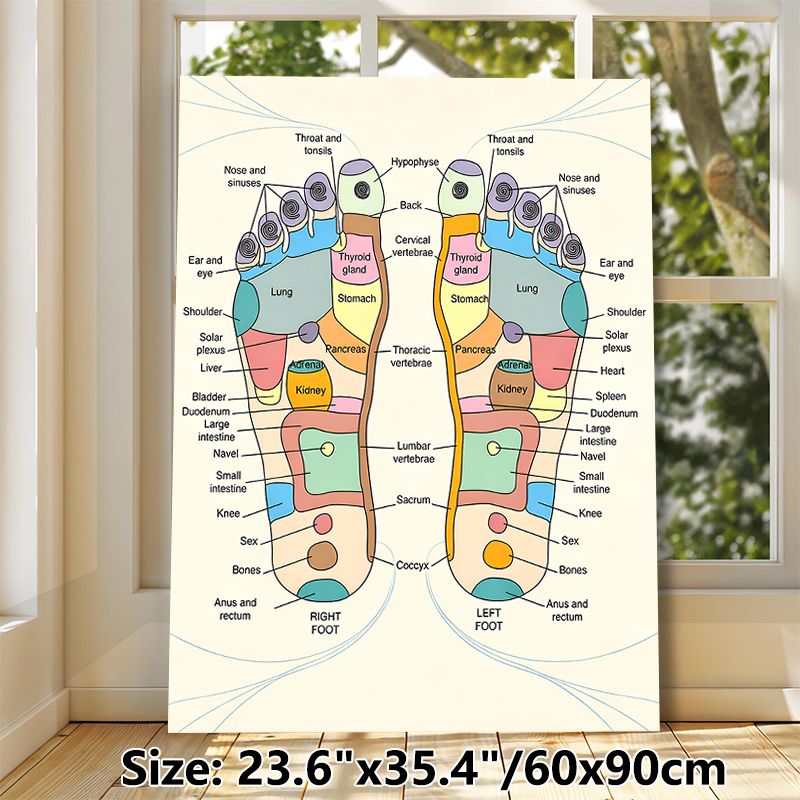 Reflexology Foot Chart Painting Poster, Colorful Detailed Anatomical Poster, Clearly Shows Foot-to-body Reflex Zones, Ideal For Massage Studios_maomaolike.com