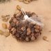 Decoration Pine Cone Acorn Flower Handmade DIY Forest Kindergarten Environmental Creation Dried Branches Wild Creative_maomaolike.com