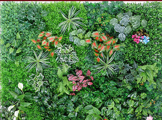 Artificial Lawn Faux Green Plant Background Wall Decoration Indoor Outdoor Plastic Fake Flower Shop Sign_maomaolike.com