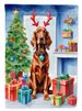 Irish Setter Christmas Reindeer Garden Flag Mailbox Flag Decorative Yard Flag Banner Outside Patio Artwork Yard Flower Beds, Garden Size, Multicolor_maomaolike.com