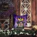 Greater Swiss Mountain Dog King Of Mardi Gras Throw Pillow Machine Washable, Indoor Outdoor Decorative Pillow For Couch, Bed Or Patio, 14Hx14W_maomaolike.com