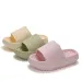 Women's Thick Platform Cloud EVA Soft Sole Pillow Slides Summer Beach Flip Flops Women Non Slip Bathroom Home Slippers_maomaolike.com