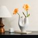 Abstract Double Vase U-Shaped Ceramic Decor · Modern Art Style_maomaolike.com