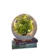 Factory Direct Cross-Border High-End Green Plants Plastic Fake Artificial Creative Luminous Bonsai Desktop Ornaments_maomaolike.com