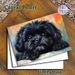 Black Fluffy Puppy Painting Poster, Vivid Realistic Oil Painting Style Poster, Warm Endearing Decor Ideal For Living Room, Bedroom And Pet Enthusiast_maomaolike.com