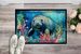 Manatee Doormat Front Door Mat Indoor Outdoor Rugs For Entryway, Non Slip Washable Low Pile, 24H X 36W_maomaolike.com