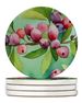 Connecticut Mountain Laurels In Watercolor Large Sandstone Coasters Pack Of 4 Absorbent Round Coasters Decor Gifts For Men Or Women, 4 In, Multicolor_maomaolike.com