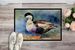Common Eider Duck Doormat Front Door Mat Indoor Outdoor Rugs For Entryway, Non Slip Washable Low Pile, 24H X 36W_maomaolike.com