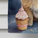 Pomeranian Happy Birthday House Flag Large Porch Sleeve Pole Decorative Outside Yard Banner Artwork Wall Hanging, Polyester, House Size, Multicolor_maomaolike.com