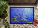 Blue Dragonfly Doormat Front Door Mat Indoor Outdoor Rugs For Entryway, Non Slip Washable Low Pile, 24H X 36W_maomaolike.com