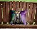Afghan Hound King Of Mardi Gras Throw Pillow Machine Washable, Indoor Outdoor Decorative Pillow For Couch, Bed Or Patio, 14Hx14W_maomaolike.com