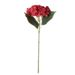 Hydrangea With Leaves, Wedding Decoration, Silk Photography Prop, Home Decor Fake Flower, Artificial Flower Wholesale_maomaolike.com