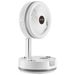 10 Inch Foldable Rechargeable Oscillating Fan 3 In 1 Remote 9 Speeds_maomaolike.com