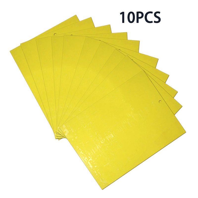 Sticky Insect Board Powerful Flycatcher Yellow Blue Sticker Sheet Greenhouse Pest Control Insecticide Double-sided_maomaolike.com