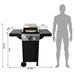 2 Burner Gas Grill And Pizza Oven For Outdoor Cooking While Camping Or Tailgating._maomaolike.com