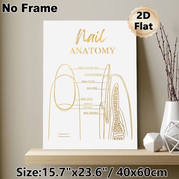Nail Anatomy Painting Poster, Gilded Minimalist Labeled Nail Structure Poster, Informative Educational Decor Ideal For Nail Salon, Beauty Studio_maomaolike.com