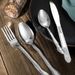 Product Name : Deluxe Premium Cutlery Flatware Set For The Home - Stainless Steel Cutlery Service With 1 Dinner Fork, 1 Dinner Knife, 1 Dinner Spoon And 1 Tea Spoon - Durable, Elegant And Rust-resista_maomaolike.com