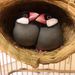 Straw Woven Nest For Lovebirds, Budgerigars, And Finches, Pearl Grass Small Nest, Breeding Box, Winter Warm Bird Cage_maomaolike.com
