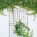 2 Pack Metal Garden Trellis 86.7" X 19.7" Rustproof Trellis For Climbing Plants Outdoor Flower Support Black_maomaolike.com
