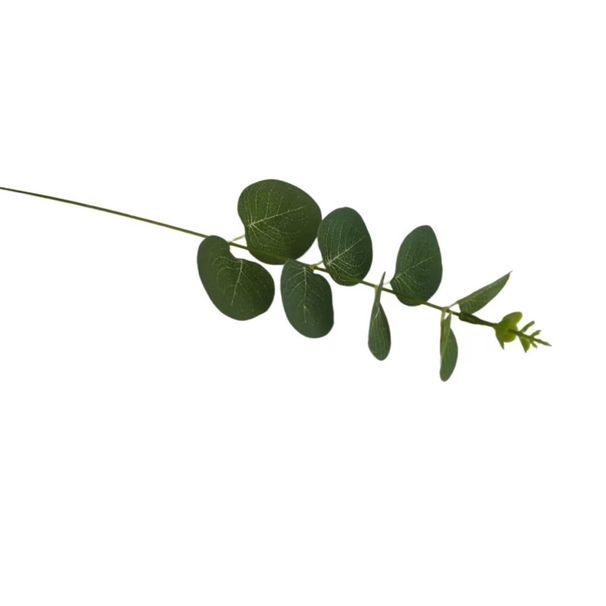 Wedding Artificial Flower Arrangement With Money Eucalyptus Leaf Single Stem Green Plant Bouquet For Wedding Ceremony_maomaolike.com