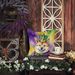 Akita King Of Mardi Gras Throw Pillow Machine Washable, Indoor Outdoor Decorative Pillow For Couch, Bed Or Patio, 18Hx18W_maomaolike.com