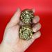 Brass Handball Smiling Face Pixiu Walnut Retro Elderly Finger Exercise Copperware Daily Progress Gold Pair Handle Piece_maomaolike.com